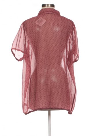 Damen Shirt Gina Benotti, Größe XL, Farbe Mehrfarbig, Preis 9,99 €
