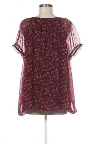 Damen Shirt Gina Benotti, Größe XL, Farbe Mehrfarbig, Preis 9,99 €