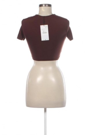 Γυναικεία μπλούζα H&M, Μέγεθος S, Χρώμα Καφέ, Τιμή 11,99 €