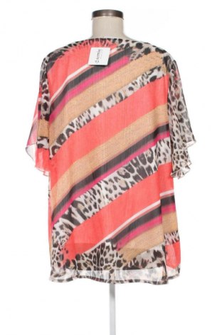 Γυναικεία μπλούζα Janina, Μέγεθος XXL, Χρώμα Πολύχρωμο, Τιμή 8,99 €