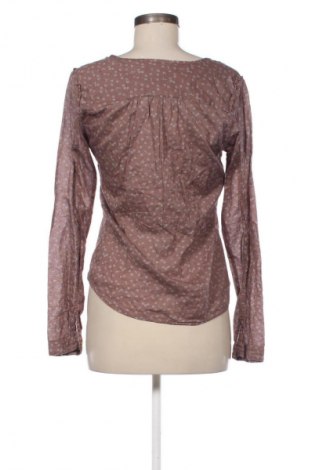 Damen Shirt Maison Scotch, Größe M, Farbe Mehrfarbig, Preis 41,99 €