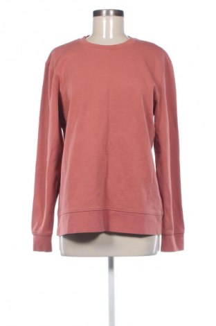 Damen Shirt Massimo Dutti, Größe L, Farbe Rot, Preis € 20,00