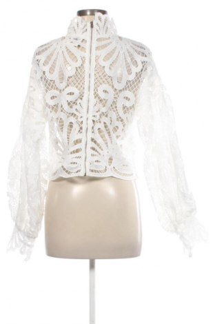 Damen Shirt Morgan, Größe L, Farbe Weiß, Preis € 9,99