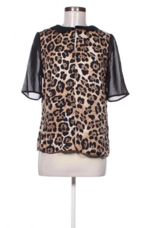 Damen Shirt Next, Größe M, Farbe Mehrfarbig, Preis 14,00 €