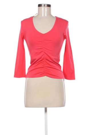 Damen Shirt Piazza Italia, Größe S, Farbe Rot, Preis € 16,00