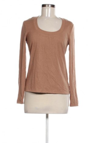 Γυναικεία μπλούζα Preview, Μέγεθος L, Χρώμα Καφέ, Τιμή 8,99 €