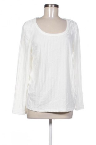 Damen Shirt SHEIN, Größe XXL, Farbe Weiß, Preis € 8,99