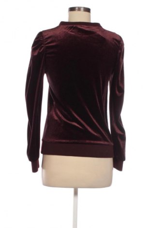 Dámská halenka Saint Tropez, Velikost XS, Barva Hnědá, Cena  495,00 Kč