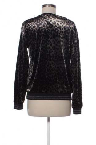 Damen Shirt Saint Tropez, Größe S, Farbe Mehrfarbig, Preis 17,00 €