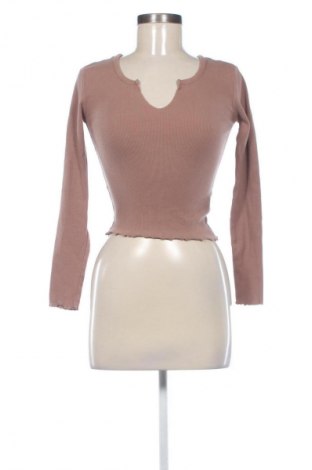 Damen Shirt Sinsay, Größe XS, Farbe Braun, Preis 10,00 €