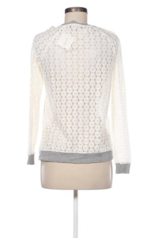 Γυναικεία μπλούζα Steffen Schraut, Μέγεθος S, Χρώμα Εκρού, Τιμή 41,99 €