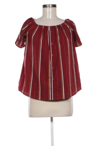 Damen Shirt Terranova, Größe M, Farbe Mehrfarbig, Preis 10,00 €