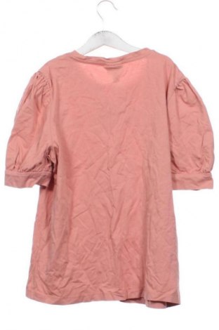 Damen Shirt Vero Moda, Größe L, Farbe Aschrosa, Preis 10,00 €