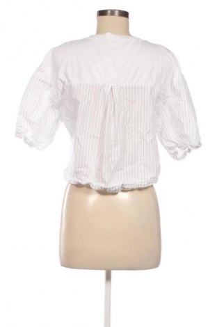 Damen Shirt Zara, Größe M, Farbe Mehrfarbig, Preis € 7,67