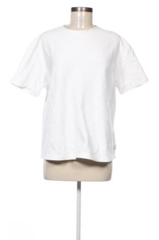 Dámska blúza Zara, Veľkosť L, Farba Biela, Cena  11,95 €