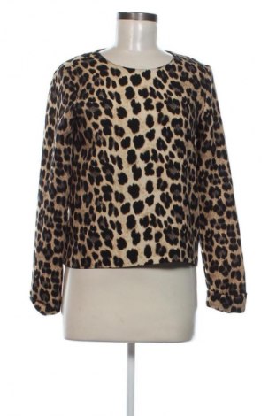 Damen Shirt Zara, Größe M, Farbe Mehrfarbig, Preis € 9,99