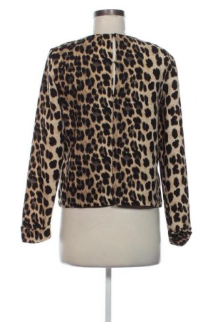 Damen Shirt Zara, Größe M, Farbe Mehrfarbig, Preis € 9,99