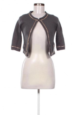Damen Strickjacke Massimo Dutti, Größe S, Farbe Grau, Preis € 32,00