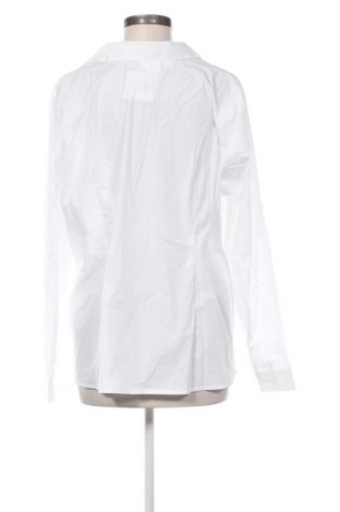 Damenbluse Bpc Bonprix Collection, Größe XL, Farbe Weiß, Preis 8,99 €