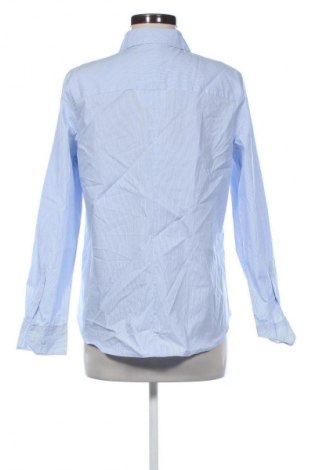 Damenbluse H&M, Größe L, Farbe Mehrfarbig, Preis 6,99 €