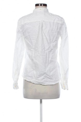 Damenbluse Lyle & Scott, Größe S, Farbe Ecru, Preis 17,99 €