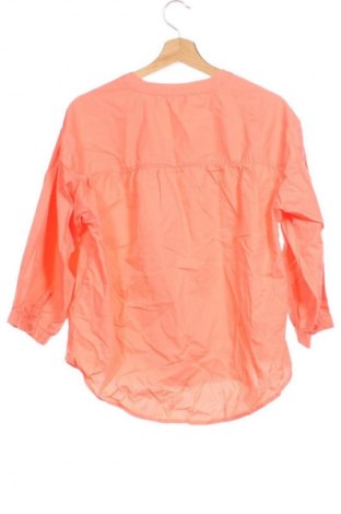 Damenbluse MSCH, Größe XS, Farbe Orange, Preis € 17,99