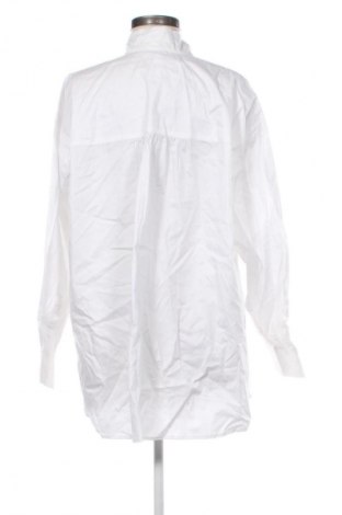 Damenbluse Mango, Größe XL, Farbe Weiß, Preis € 13,81