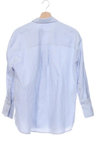 Damenbluse Mango, Größe XS, Farbe Mehrfarbig, Preis 14,00 €