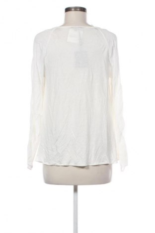 Damenbluse Massimo Dutti, Größe L, Farbe Weiß, Preis € 63,40