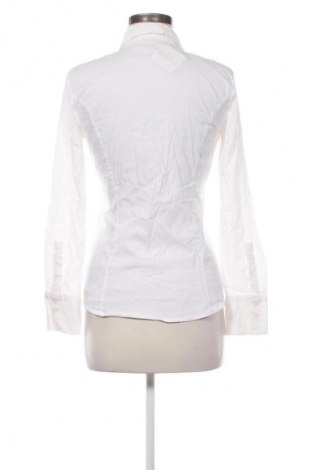 Damenbluse More & More, Größe S, Farbe Weiß, Preis 9,99 €