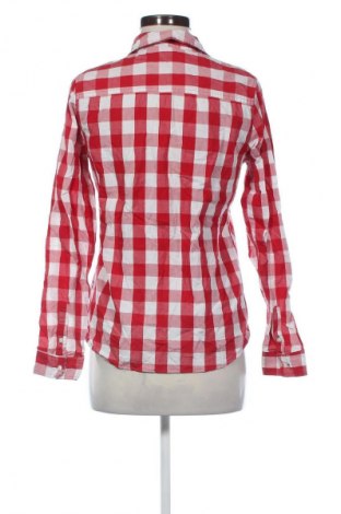 Damenbluse New Look, Größe M, Farbe Mehrfarbig, Preis € 5,99