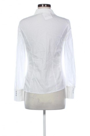 Damenbluse Peter Hahn, Größe S, Farbe Weiß, Preis 14,99 €