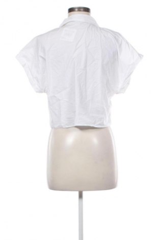 Damenbluse Sinsay, Größe M, Farbe Weiß, Preis 12,85 €