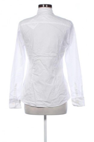 Damenbluse Tommy Hilfiger, Größe M, Farbe Weiß, Preis € 43,99