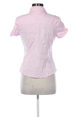 Damenbluse Tommy Hilfiger, Größe S, Farbe Rosa, Preis € 23,99