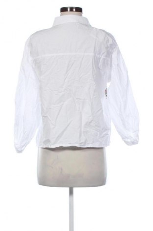 Damenbluse Unbranded, Größe L, Farbe Mehrfarbig, Preis 8,99 €