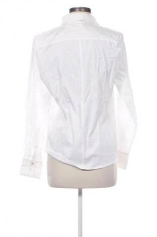 Damska koszula Walbusch, Rozmiar M, Kolor Biały, Cena 57,99 zł