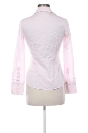 Γυναικείο πουκάμισο Woolworths, Μέγεθος M, Χρώμα Ρόζ , Τιμή 7,99 €