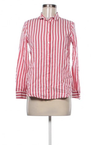 Damenbluse Zara, Größe S, Farbe Mehrfarbig, Preis € 12,99