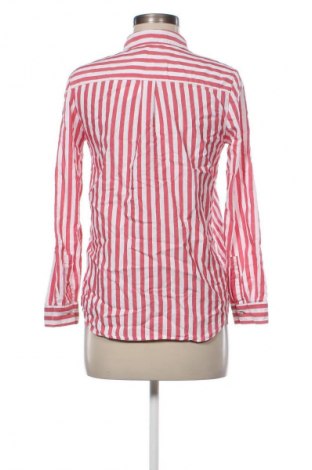 Damenbluse Zara, Größe S, Farbe Mehrfarbig, Preis € 12,99