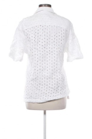 Damenbluse Zara, Größe M, Farbe Weiß, Preis 13,99 €