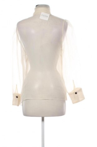 Damenbluse Zara, Größe L, Farbe Beige, Preis € 13,81