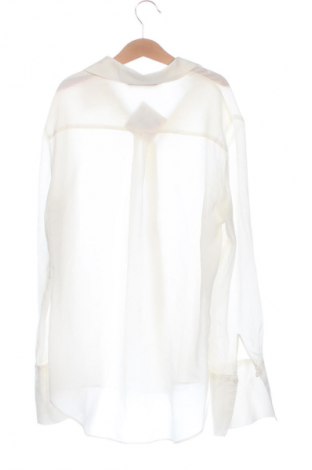 Damenbluse Zara, Größe XS, Farbe Ecru, Preis € 13,81