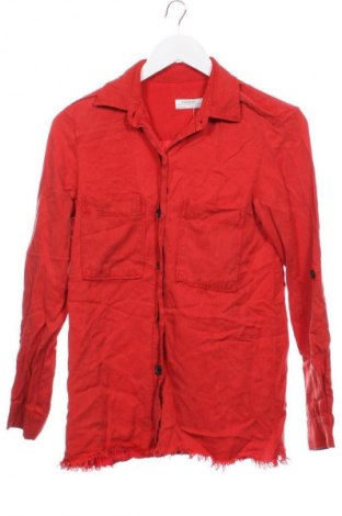 Damenbluse Zara, Größe XS, Farbe Rot, Preis 9,99 €