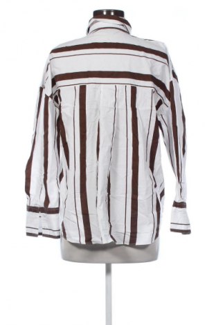 Damenbluse Zara, Größe M, Farbe Mehrfarbig, Preis 11,99 €