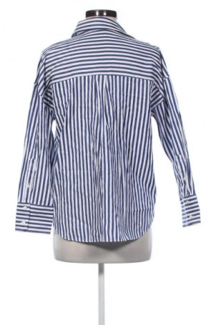 Damenbluse Zara, Größe L, Farbe Mehrfarbig, Preis 14,99 €