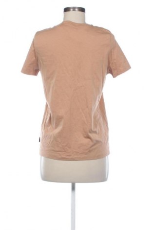 Damen T-Shirt Calvin Klein, Größe XL, Farbe Braun, Preis € 24,50