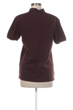 Damen T-Shirt Zara, Größe M, Farbe Braun, Preis € 8,99