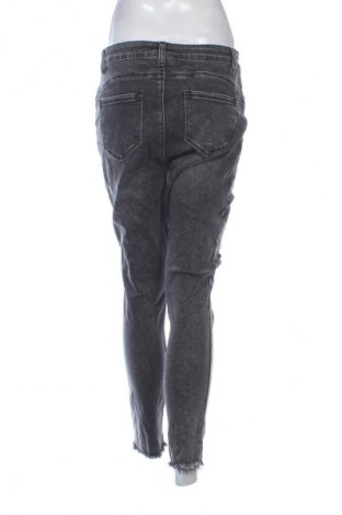 Damen Jeans Haily`s, Größe XL, Farbe Grau, Preis € 18,99
