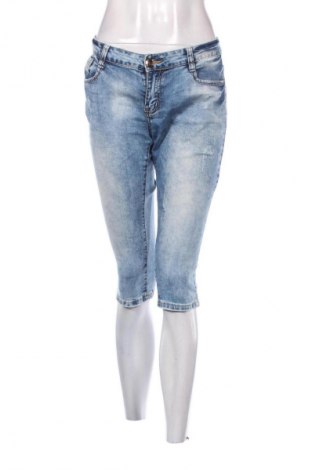 Damen Jeans Miss Curry, Größe XL, Farbe Blau, Preis 14,82 €